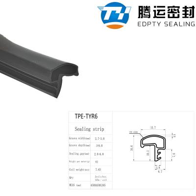 TYR6